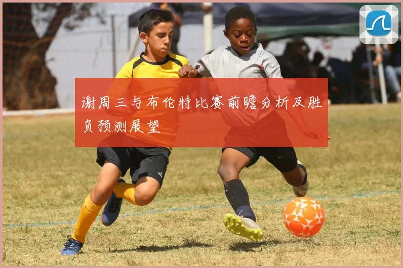 谢周三与布伦特比赛前瞻分析及胜负预测展望
